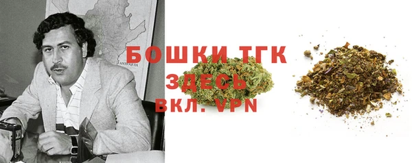 винт Алексин