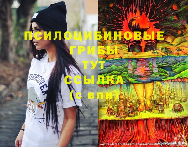 винт Алексин