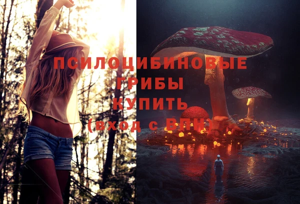 винт Алексин
