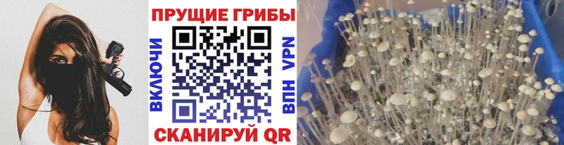 Галлюциногенные грибы ЛСД  Задонск 